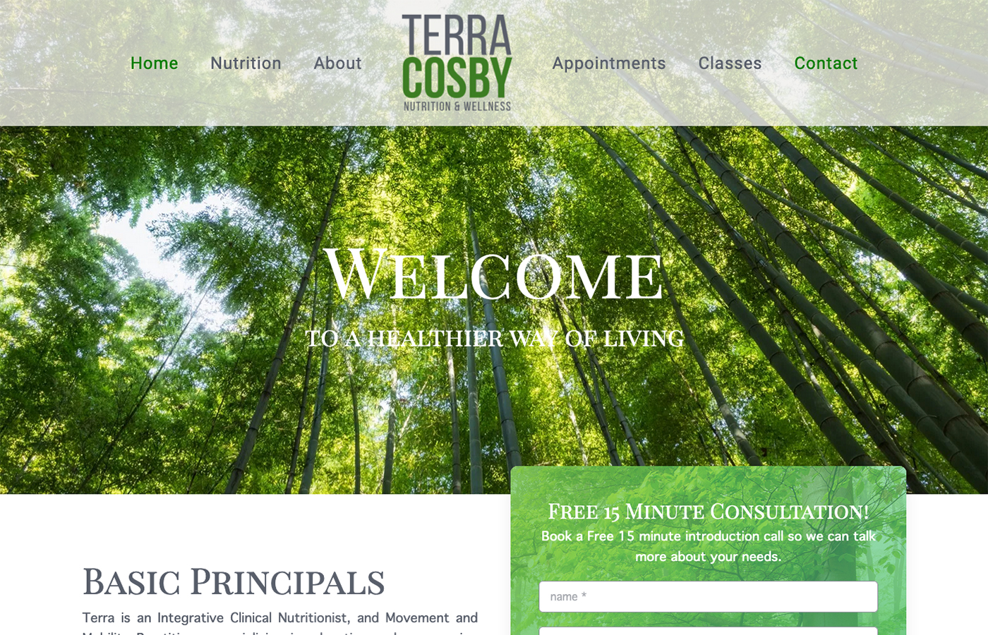 Terra Cosby, website design by BURDS NERDS