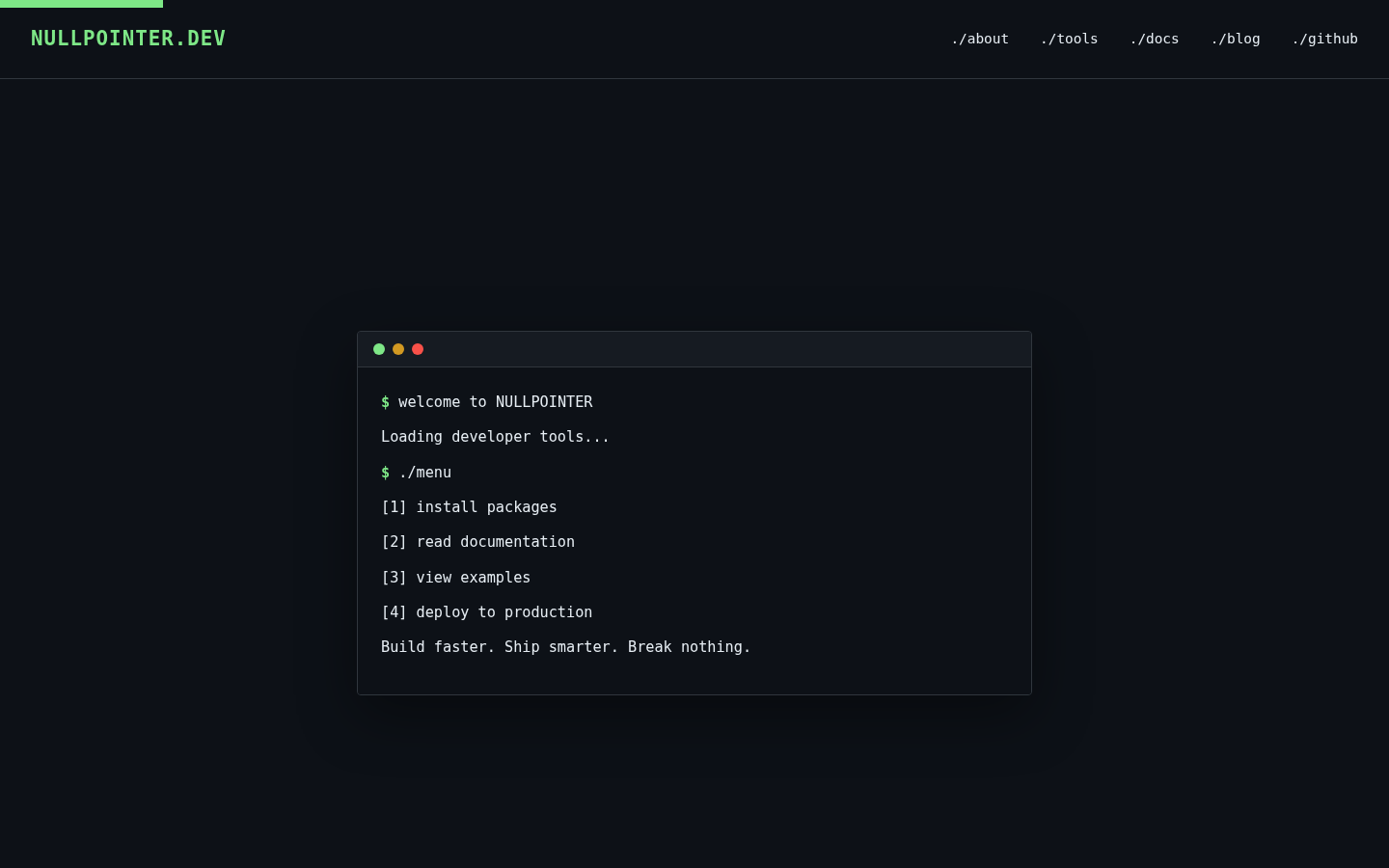 Preview of NULLPOINTER.DEV template