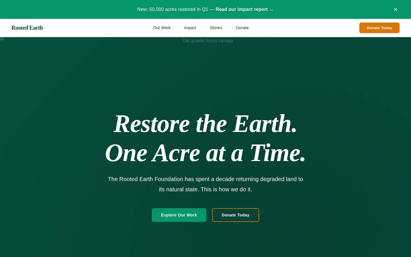 Preview of Rooted Earth Foundation template
